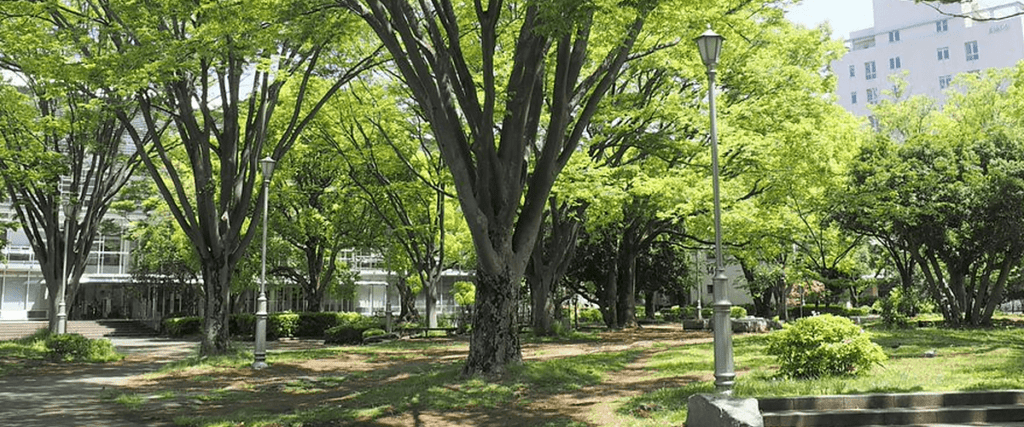 千葉大学のキャンパスの風景