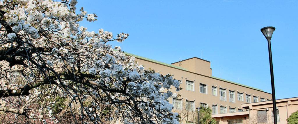 千葉大学の桜の咲いているキャンパスの風景